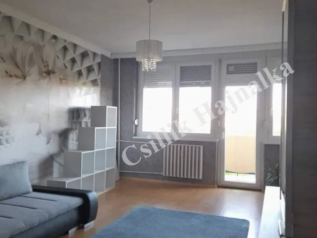 Kiadó lakás Szolnok, Belváros 63 nm