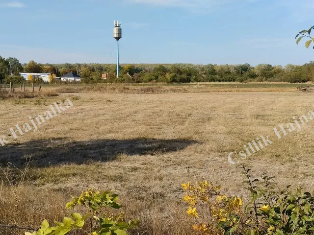 Eladó telek Tiszasüly 1943 nm