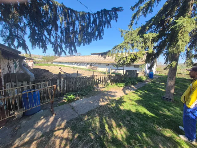 Kiadó kereskedelmi és ipari ingatlan Galgagyörk 300 nm