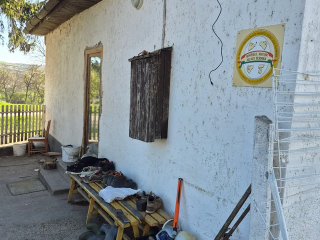 Kiadó lakás Galgagyörk 21 nm