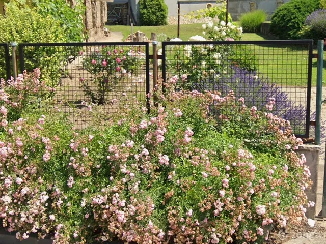 Eladó telek Dunaújváros, Óváros 950 nm