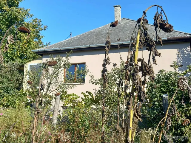 Eladó ház Verseg 110 nm