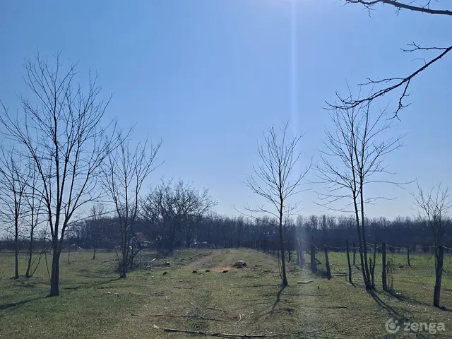 Eladó telek Dánszentmiklós 5797 nm