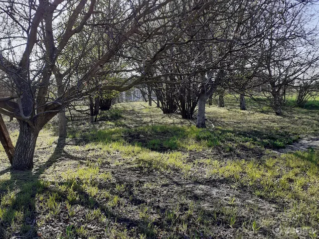 Eladó mezőgazdasági ingatlan Nagykőrös, Bokros 70 nm