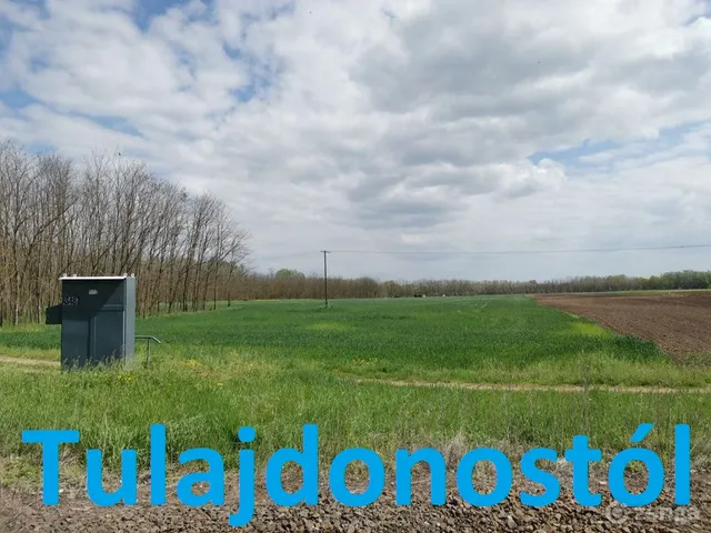 Eladó mezőgazdasági ingatlan Tiszaalpár, külterület 7462 nm