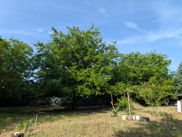 Eladó telek Cegléd 2126 nm