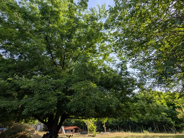 Eladó telek Cegléd 2126 nm