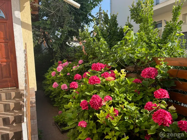 Eladó ház Budapest XIV. kerület, Alsórákos, Negyed 174 nm