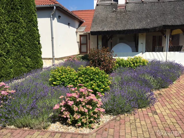 Eladó ház Sarud 216 nm