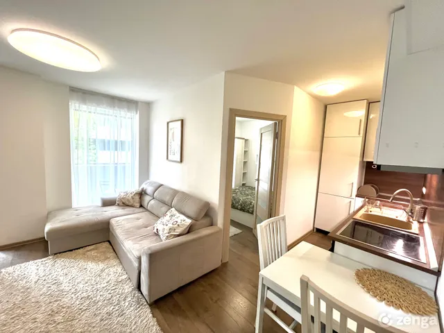 Kiadó lakás Budapest IX. kerület, Középső Ferencváros 40 nm