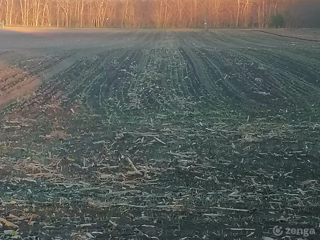 Eladó telek Mórichida 4738 nm