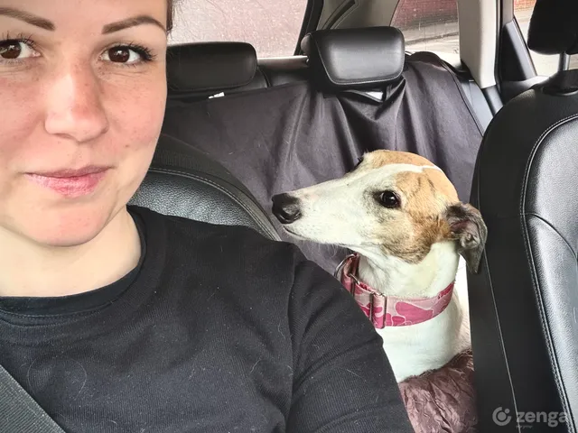 Kiadó ház Nyíregyháza 70 nm