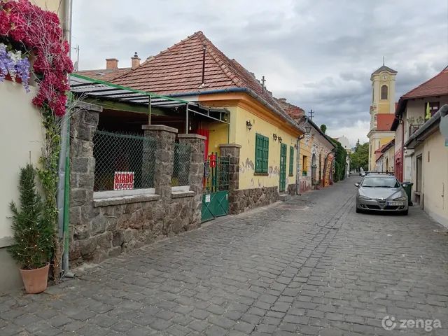 Kiadó kereskedelmi és ipari ingatlan Szentendre, Belváros 55 nm