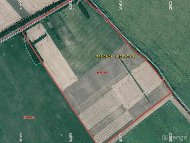 Eladó mezőgazdasági ingatlan Balatonszabadi 1959 nm