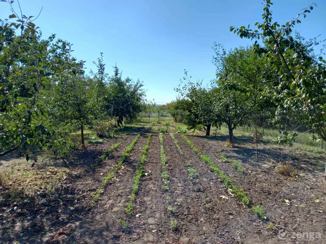 Eladó telek Baracska, Panoráma utca 900 nm