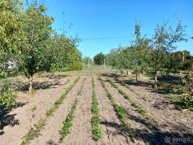 Eladó telek Baracska, Panoráma utca 900 nm