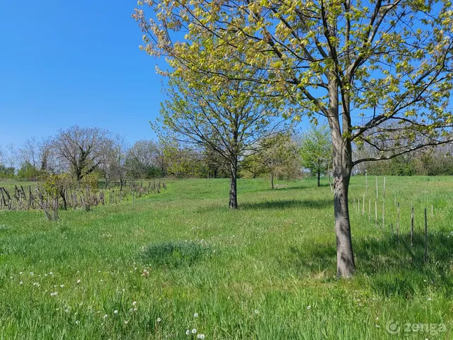 Eladó telek Kisgörbő 4157 nm