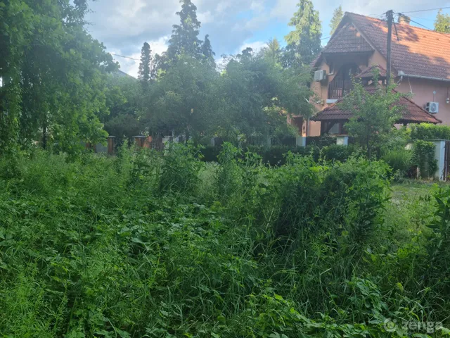 Eladó ház Tiszafüred, Tiszaörvény 145 nm