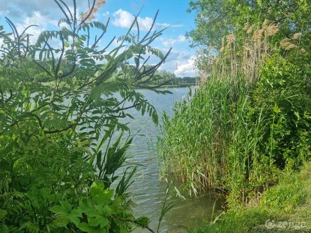Eladó ház Tiszafüred, Süllő u.10. 120 nm