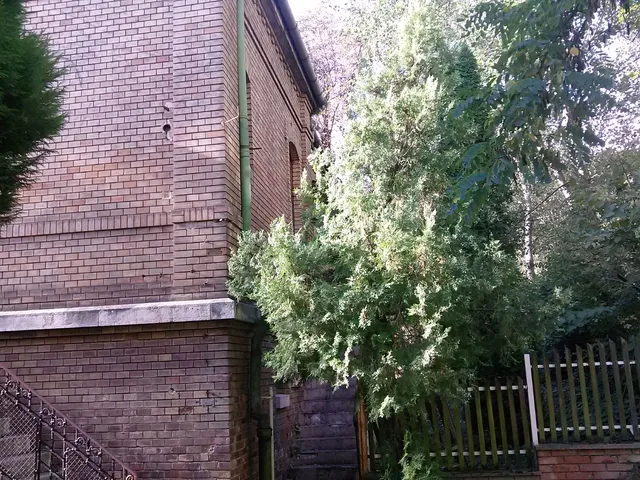 Kiadó kereskedelmi és ipari ingatlan Budapest II. kerület, Budakeszi út 53/B. 150 nm