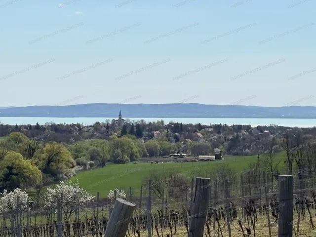 Eladó mezőgazdasági ingatlan Balatoncsicsó 3062 nm