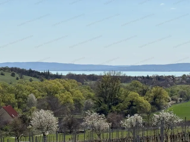 Eladó mezőgazdasági ingatlan Balatoncsicsó 3062 nm