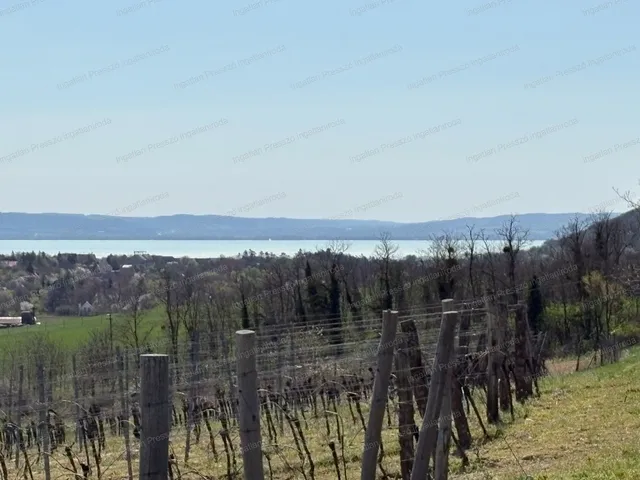 Eladó mezőgazdasági ingatlan Balatoncsicsó 3062 nm