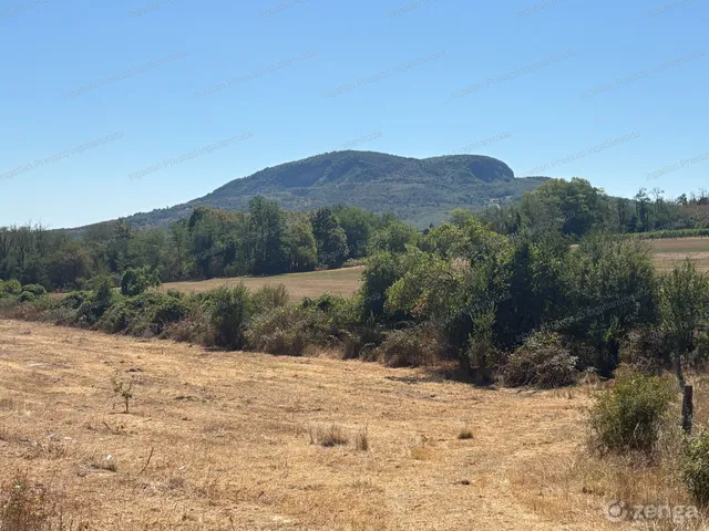 Eladó mezőgazdasági ingatlan Badacsonytomaj 4541 nm