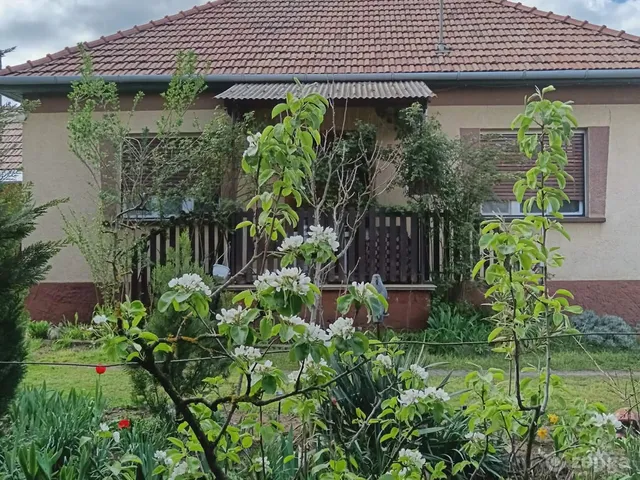 Eladó ház Tápiószele 100 nm