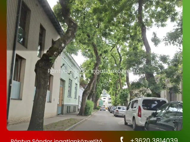 Eladó ház Debrecen, Belváros 216 nm