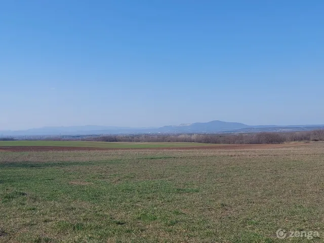Eladó mezőgazdasági ingatlan Csomád 28645 nm