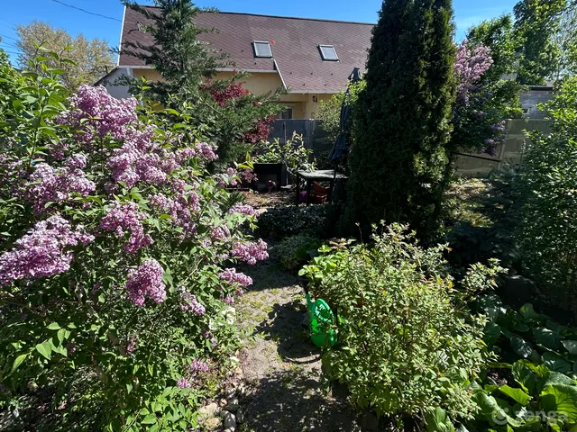 Eladó lakás Budapest XX. kerület, Jósika utca  55 nm