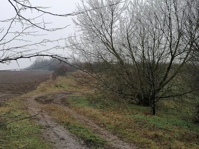 Eladó telek Maglód 196370 nm