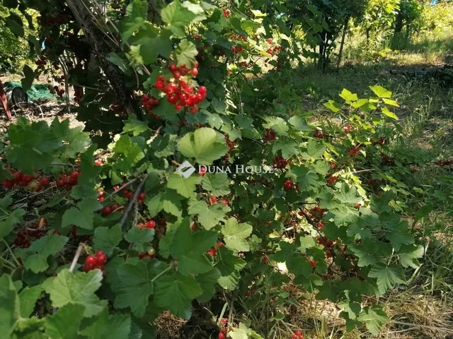Eladó telek Bicske 2171 nm