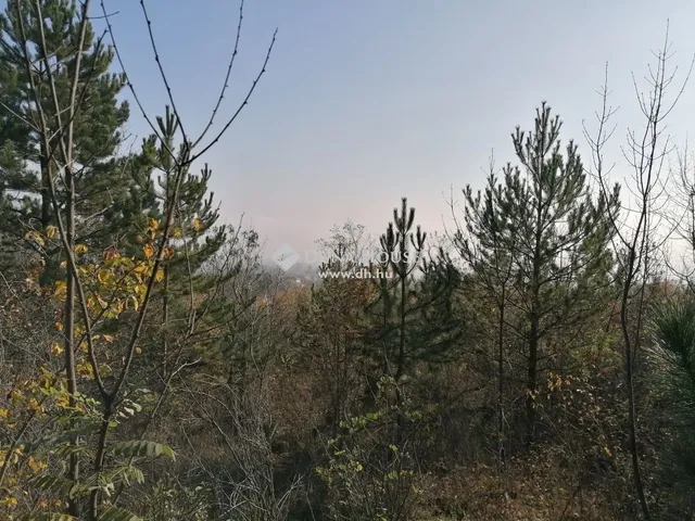 Eladó telek Zsámbék 1608 nm