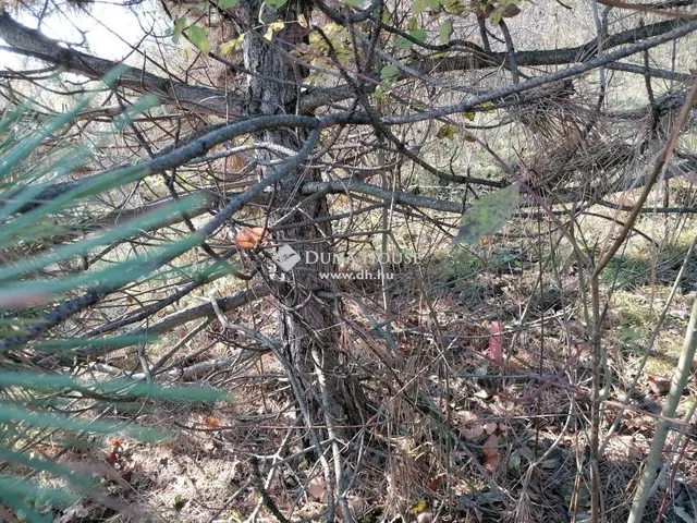 Eladó telek Zsámbék 1608 nm