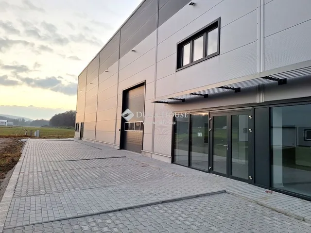Kiadó kereskedelmi és ipari ingatlan Bag 1167 nm
