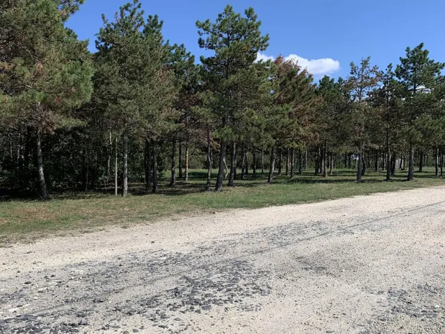 Eladó telek Tárnok 3000 nm