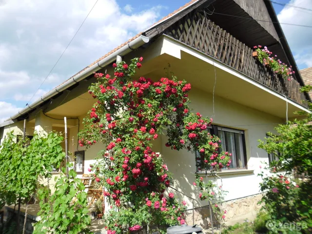 Eladó ház Baj 170 nm
