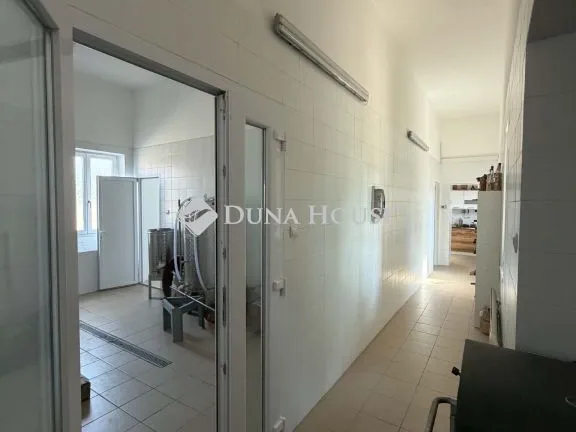Kiadó kereskedelmi és ipari ingatlan Kalocsa, Hosszú Antal utca 180 nm