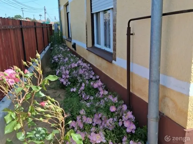 Eladó ház Csokonyavisonta 80 nm