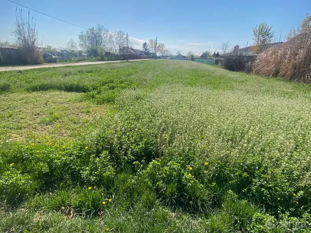 Eladó mezőgazdasági ingatlan Hajdúszoboszló 1500 nm