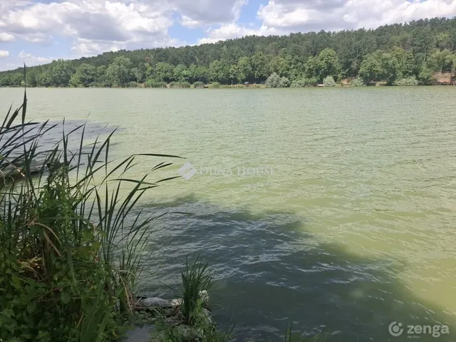 Eladó mezőgazdasági ingatlan Gomba 55 nm