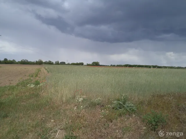 Kiadó telek Vecsés, Halmitelep 24500 nm