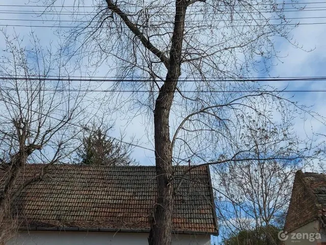 Eladó ház Csongrád, Vasút utca 17 63 nm