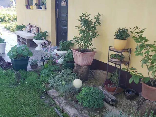 Eladó ház Vízvár 70 nm