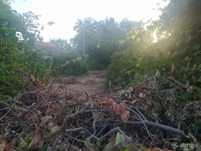 Eladó telek Budakeszi, Máriamakk 1313 nm