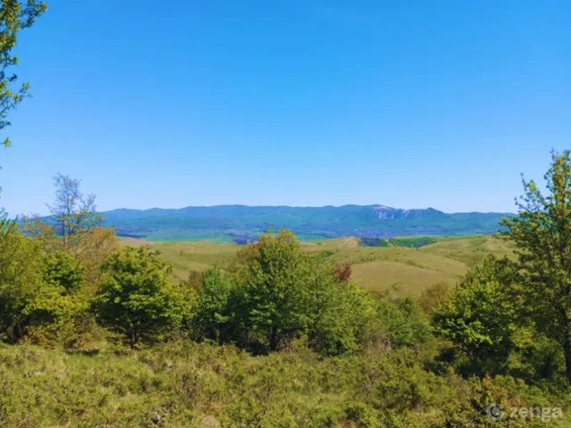Eladó mezőgazdasági ingatlan Bekölce 52782 nm