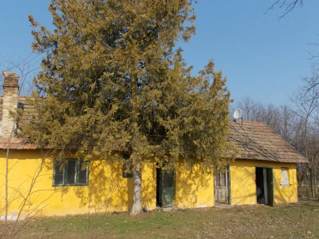 Eladó telek Kiskunfélegyháza 3022 nm
