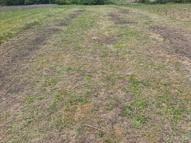 Eladó telek Apagy, Bem József  1530 nm